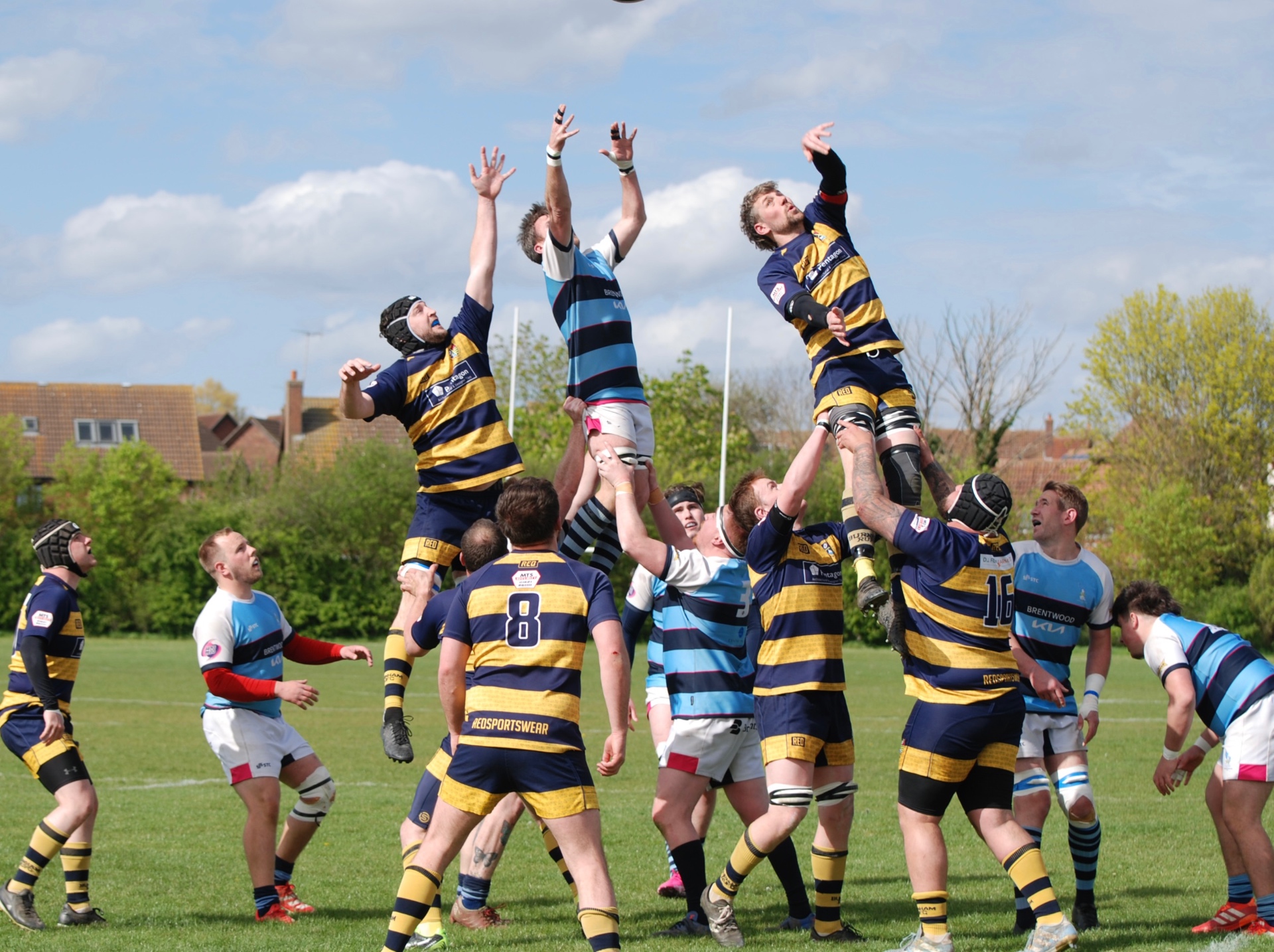 Rugby lineout — players reaching for the ball